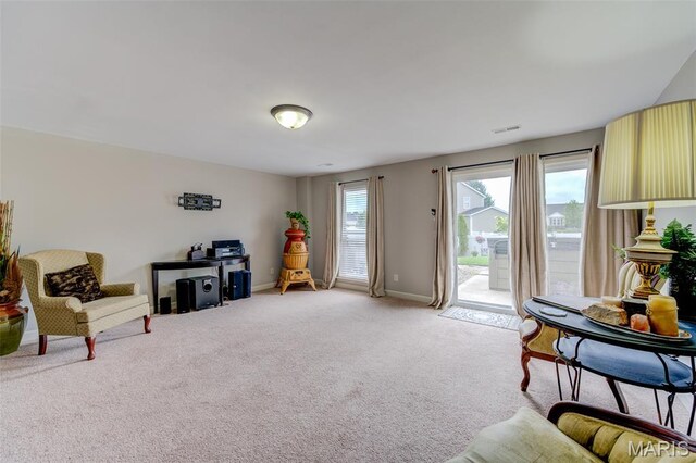 910 Pittsburg Landing Dr, Wentzville, MO 63385 - photo 42