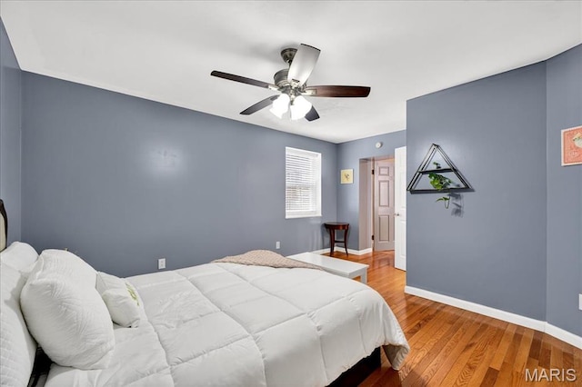 4442 Morganford Rd, Saint Louis, MO 63116 - photo 16
