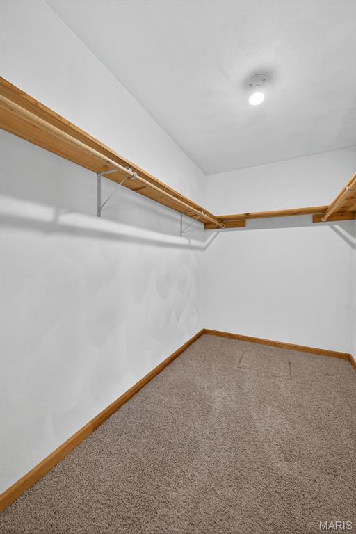 218 Suburban Dr, Smithton, IL 62285 - photo 23
