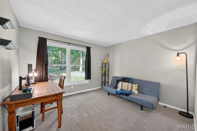 15 Prairie Lake Ct, Wentzville, MO 63385 - photo 15