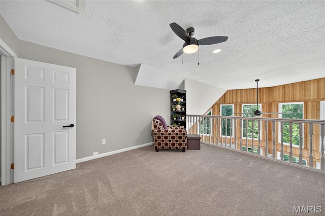 15 Prairie Lake Ct, Wentzville, MO 63385 - photo 19