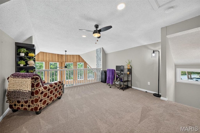 15 Prairie Lake Ct, Wentzville, MO 63385 - photo 20