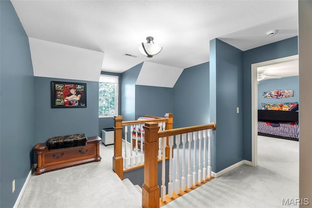 2520 Horse Shoe Rdg, Cape Girardeau, MO 63701 - photo 21