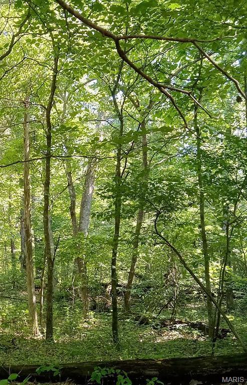 11AC E Casco Rd, Beaufort, MO 63013