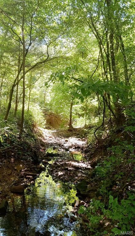 11AC E Casco Rd, Beaufort, MO 63013