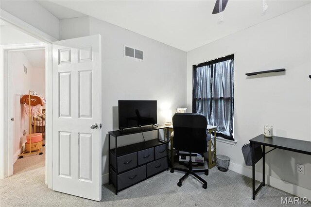 6217 Twin Springs Blvd, Cedar Hill, MO 63016 - photo 21