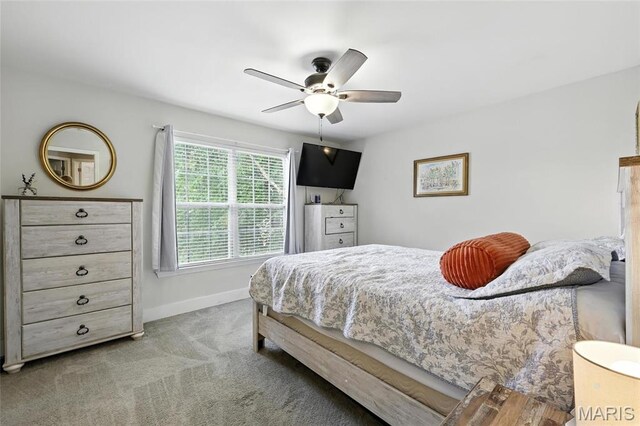6217 Twin Springs Blvd, Cedar Hill, MO 63016 - photo 26
