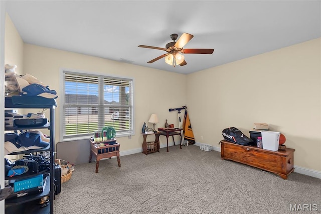 1135 Daffodil, Sikeston, MO 63801 - photo 16