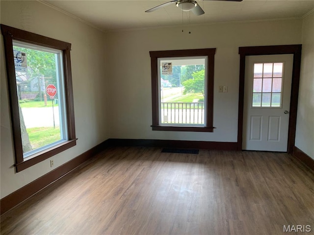 430 S Jackson St, Litchfield, IL 62056 - photo 5