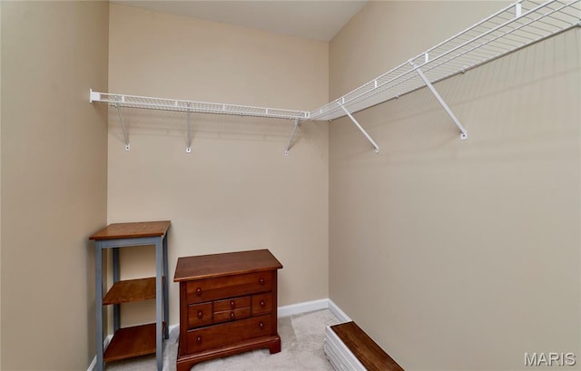 5 Sapphire Ct, Ofallon, MO 63366 - photo 43