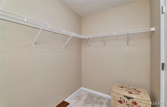 5 Sapphire Ct, Ofallon, MO 63366 - photo 44