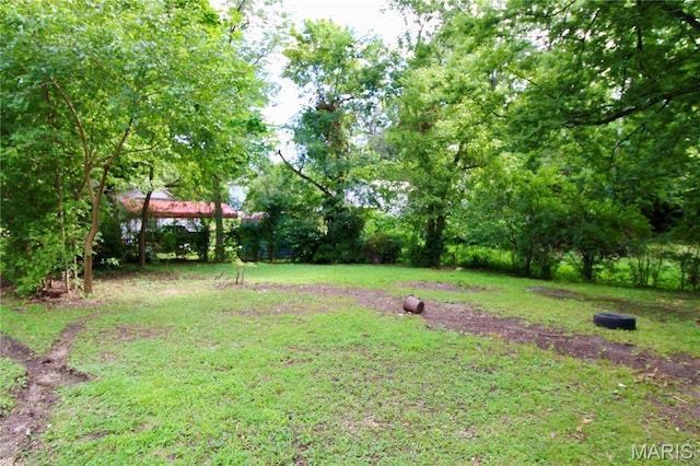 814 Vine St, Poplar Bluff, MO 63901 - view of yard