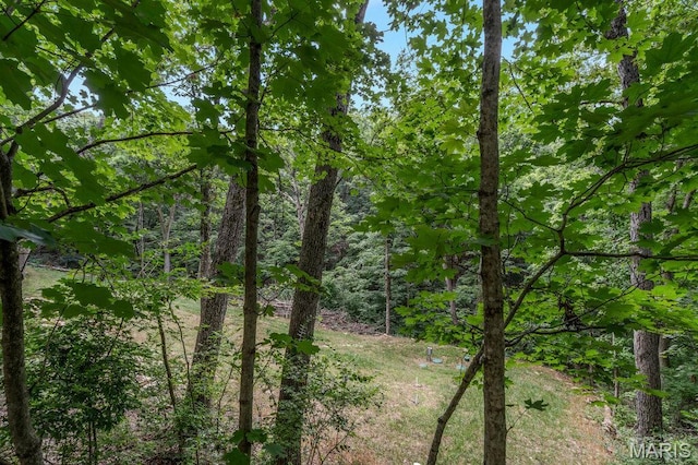 127 Hilltop Trl, Eureka, MO 63025 - view of wooded area