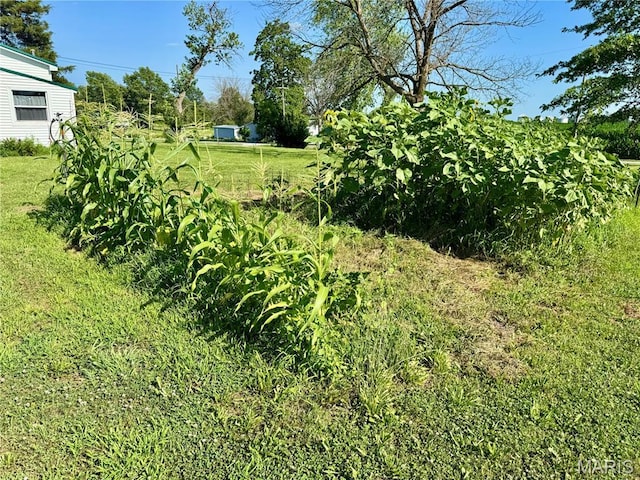 411 S 5th, La Belle, MO 63447 - photo 4
