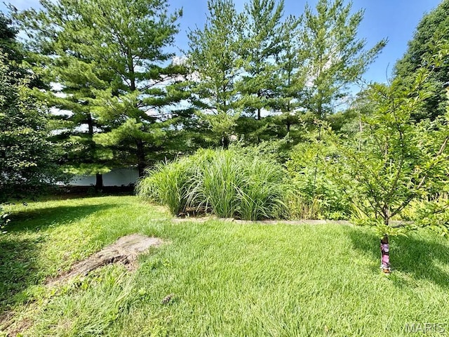 8 Boenker Ct, Saint Charles, MO 63301 - photo 21