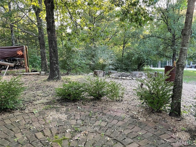421 Park Ln, Union, MO 63084 - view of yard