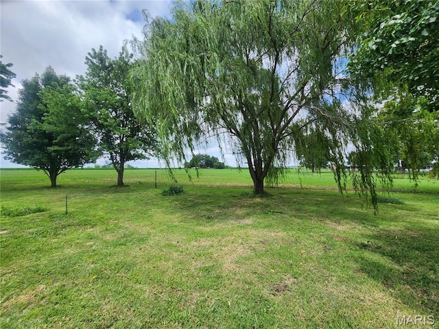 3021 Carlyle Ave, Belleville, IL 62221 - photo 8