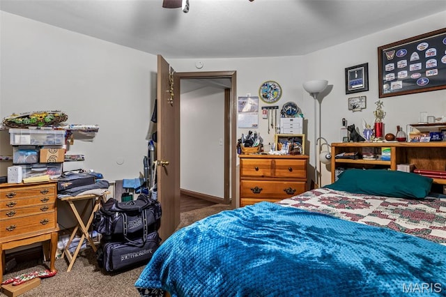 208 Houser St, Park Hills, MO 63601 - photo 12