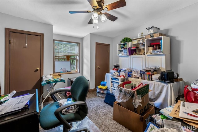 208 Houser St, Park Hills, MO 63601 - photo 16