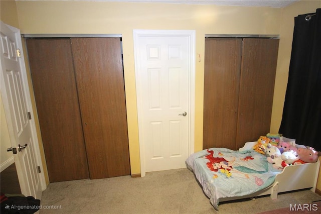 2890 Tommy Dr, Arnold, MO 63010 - bedroom featuring carpet and multiple closets