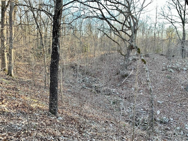0 Nn Hwy, Eldridge, MO 65463