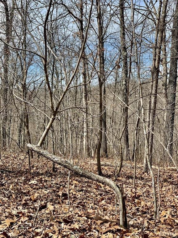 0 Nn Hwy, Eldridge, MO 65463