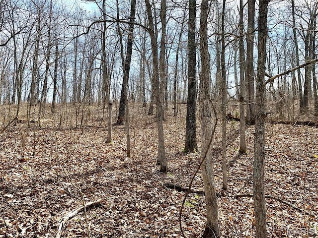 0 Nn Hwy, Eldridge, MO 65463