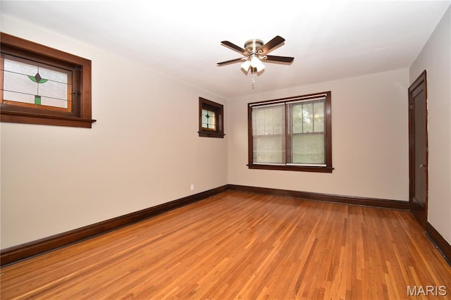 3438 Shenandoah Ave, Saint Louis, MO 63117 - photo 3