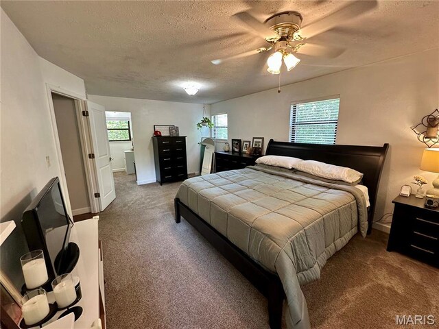 105 Whiteside Dr, Belleville, IL 62221 - photo 19