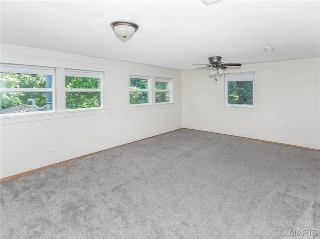 1102 Grand Ave, Edwardsville, IL 62025 - photo 29