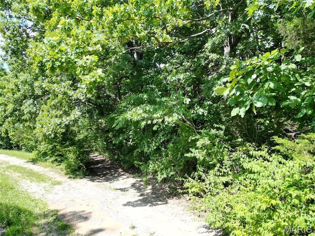12348 Frederick Ct, Festus, MO 63028 - photo 1