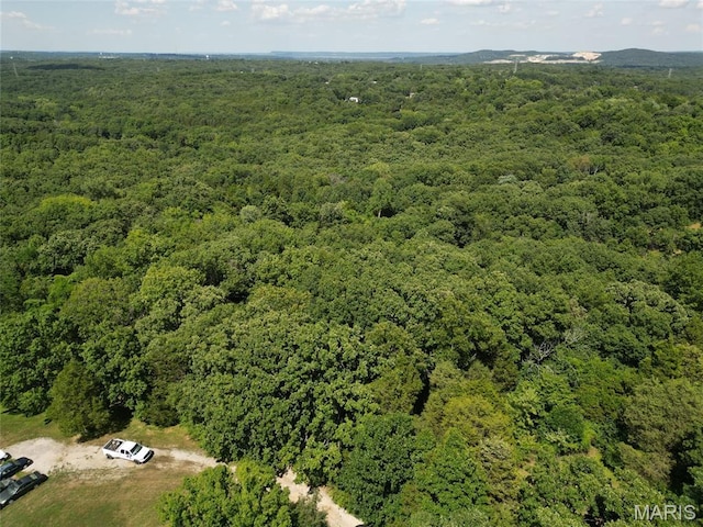 12348 Frederick Ct, Festus, MO 63028 - photo 2