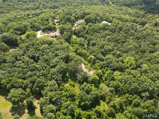 12348 Frederick Ct, Festus, MO 63028 - photo 6