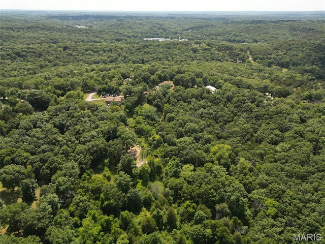 12348 Frederick Ct, Festus, MO 63028 - photo 7