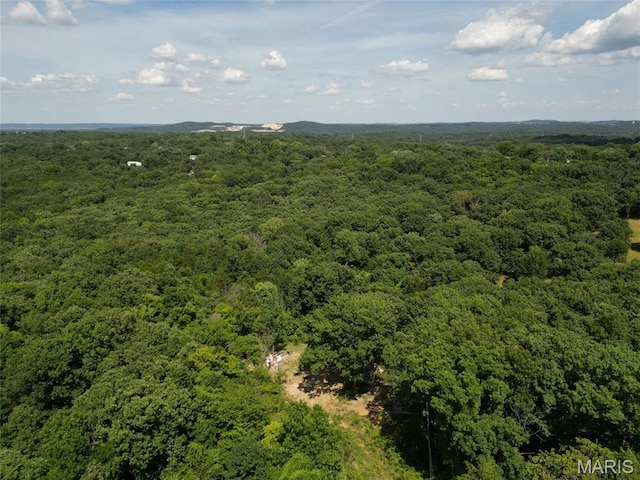 12348 Frederick Ct, Festus, MO 63028 - photo 12