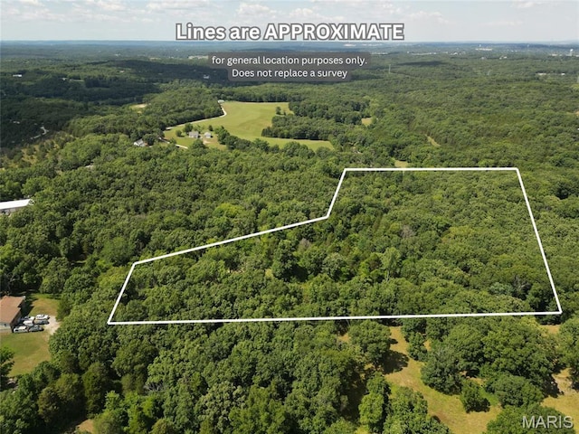 12348 Frederick Ct, Festus, MO 63028 - photo 13