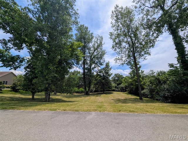 69 David Livingstone Dr, Carterville, IL 62918 - photo 1