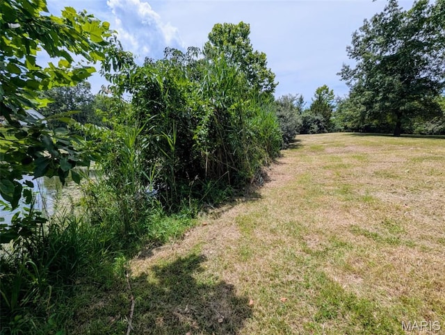 69 David Livingstone Dr, Carterville, IL 62918 - photo 2