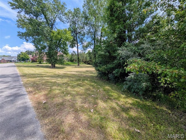 69 David Livingstone Dr, Carterville, IL 62918 - photo 3