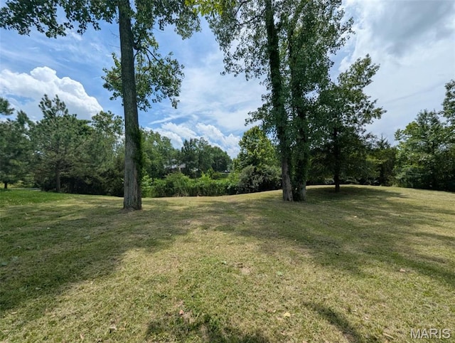 69 David Livingstone Dr, Carterville, IL 62918 - photo 4