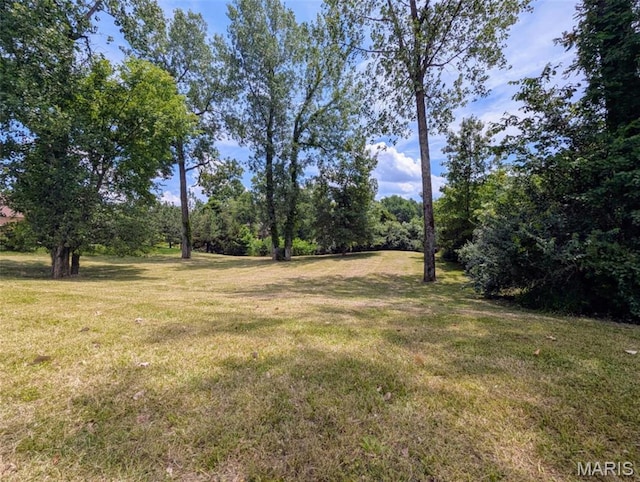 69 David Livingstone Dr, Carterville, IL 62918 - photo 5