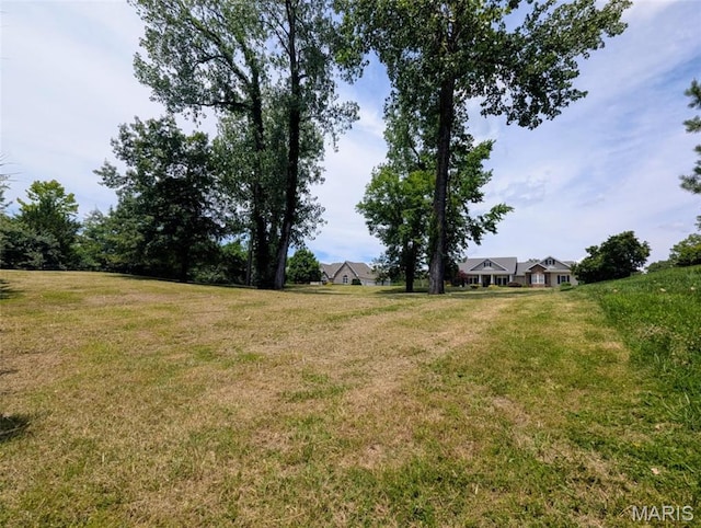 69 David Livingstone Dr, Carterville, IL 62918 - photo 8