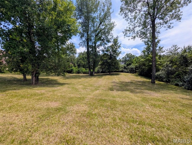 69 David Livingstone Dr, Carterville, IL 62918 - photo 9