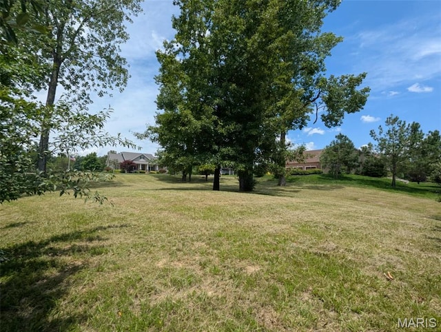 69 David Livingstone Dr, Carterville, IL 62918 - photo 10