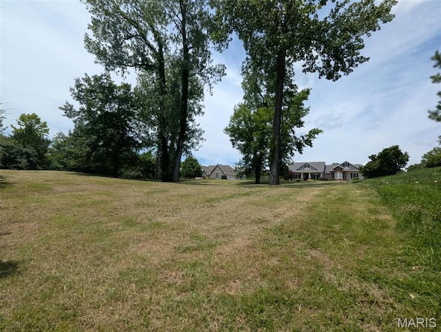 69 David Livingstone Dr, Carterville, IL 62918 - photo 11