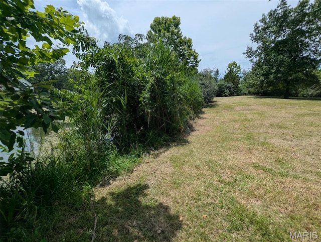 69 David Livingstone Dr, Carterville, IL 62918 - photo 12