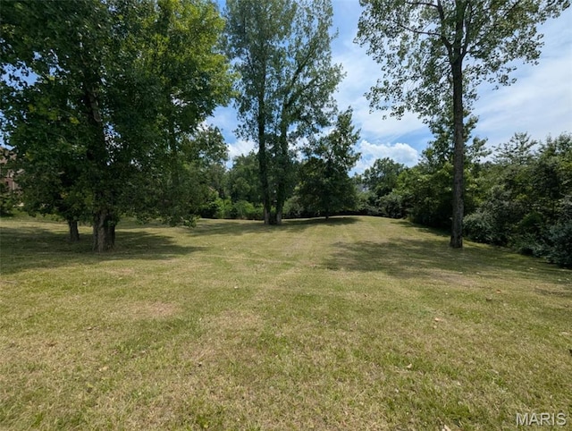 69 David Livingstone Dr, Carterville, IL 62918 - photo 13
