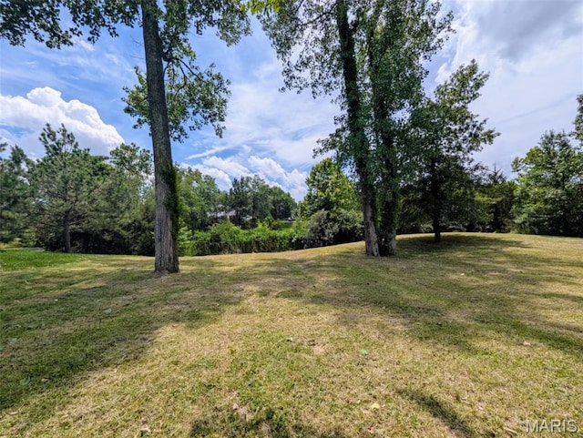 69 David Livingstone Dr, Carterville, IL 62918 - photo 14