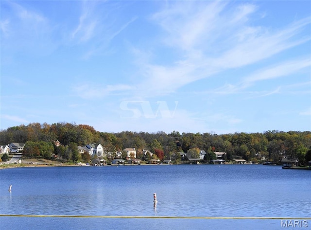 9882 W Vista Dr, Hillsboro, MO 63050 - water view