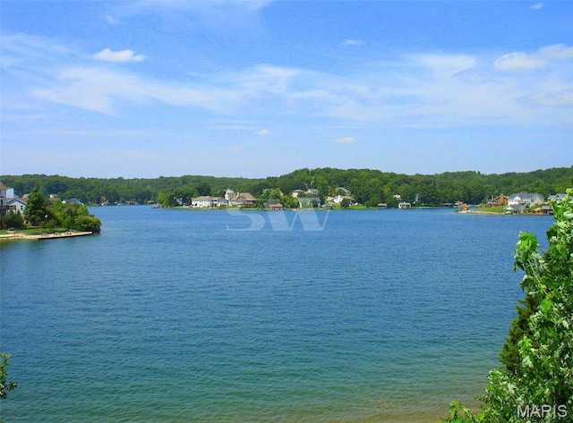9882 W Vista Dr, Hillsboro, MO 63050 - water view